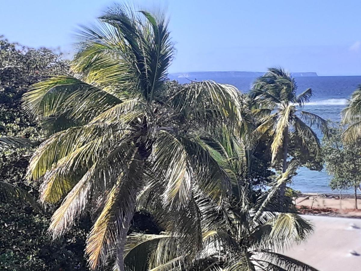 Studio Vue Sur Mer Le Moule Exteriér fotografie